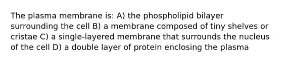 The plasma membrane is: A) the phospholipid bilayer surrounding the cell B) a membrane composed of tiny shelves or cristae C) a single-layered membrane that surrounds the nucleus of the cell D) a double layer of protein enclosing the plasma