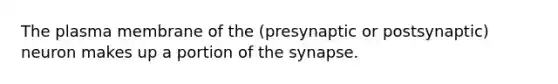 The plasma membrane of the (presynaptic or postsynaptic) neuron makes up a portion of the synapse.