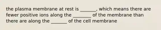 the plasma membrane at rest is _______, which means there are fewer positive ions along the ________ of the membrane than there are along the _______ of the cell membrane