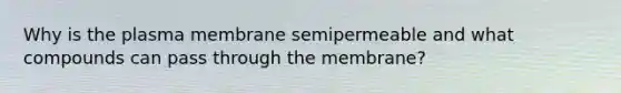 Why is the plasma membrane semipermeable and what compounds can pass through the membrane?