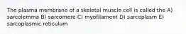 The plasma membrane of a skeletal muscle cell is called the A) sarcolemma B) sarcomere C) myofilament D) sarcoplasm E) sarcoplasmic reticulum