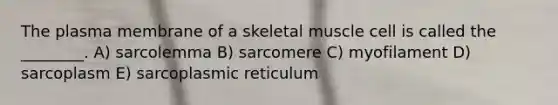 The plasma membrane of a skeletal muscle cell is called the ________. A) sarcolemma B) sarcomere C) myofilament D) sarcoplasm E) sarcoplasmic reticulum