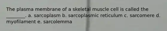 The plasma membrane of a skeletal muscle cell is called the ________. a. sarcoplasm b. sarcoplasmic reticulum c. sarcomere d. myofilament e. sarcolemma