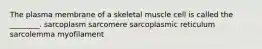 The plasma membrane of a skeletal muscle cell is called the ________. sarcoplasm sarcomere sarcoplasmic reticulum sarcolemma myofilament