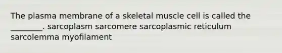 The plasma membrane of a skeletal muscle cell is called the ________. sarcoplasm sarcomere sarcoplasmic reticulum sarcolemma myofilament