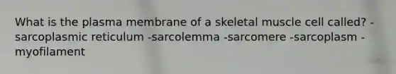 What is the plasma membrane of a skeletal muscle cell called? -sarcoplasmic reticulum -sarcolemma -sarcomere -sarcoplasm -myofilament