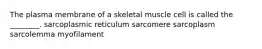 The plasma membrane of a skeletal muscle cell is called the ________. sarcoplasmic reticulum sarcomere sarcoplasm sarcolemma myofilament