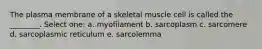 The plasma membrane of a skeletal muscle cell is called the ________. Select one: a. myofilament b. sarcoplasm c. sarcomere d. sarcoplasmic reticulum e. sarcolemma