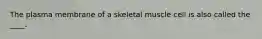 The plasma membrane of a skeletal muscle cell is also called the ____.