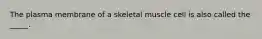 The plasma membrane of a skeletal muscle cell is also called the _____.