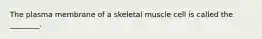 The plasma membrane of a skeletal muscle cell is called the ________.