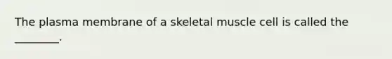 The plasma membrane of a skeletal muscle cell is called the ________.