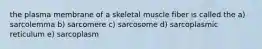 the plasma membrane of a skeletal muscle fiber is called the a) sarcolemma b) sarcomere c) sarcosome d) sarcoplasmic reticulum e) sarcoplasm