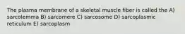 The plasma membrane of a skeletal muscle fiber is called the A) sarcolemma B) sarcomere C) sarcosome D) sarcoplasmic reticulum E) sarcoplasm