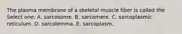 The plasma membrane of a skeletal muscle fiber is called the Select one: A. sarcosome. B. sarcomere. C. sarcoplasmic reticulum. D. sarcolemma. E. sarcoplasm.