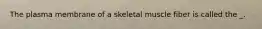 The plasma membrane of a skeletal muscle fiber is called the _.