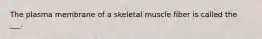 The plasma membrane of a skeletal muscle fiber is called the ___.