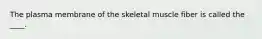 The plasma membrane of the skeletal muscle fiber is called the ____.