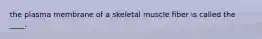 the plasma membrane of a skeletal muscle fiber is called the ____.