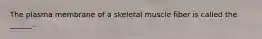 The plasma membrane of a skeletal muscle fiber is called the ______.