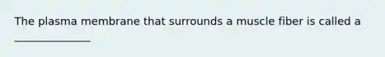 The plasma membrane that surrounds a muscle fiber is called a ______________
