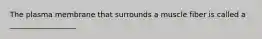 The plasma membrane that surrounds a muscle fiber is called a __________________