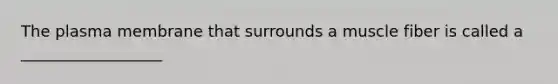 The plasma membrane that surrounds a muscle fiber is called a __________________