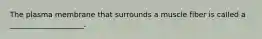The plasma membrane that surrounds a muscle fiber is called a ____________________.