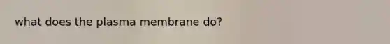 what does the plasma membrane do?