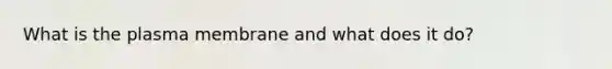 What is the plasma membrane and what does it do?