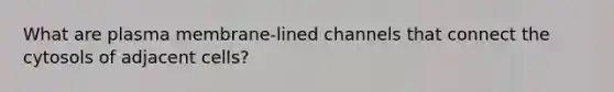 What are plasma membrane-lined channels that connect the cytosols of adjacent cells?