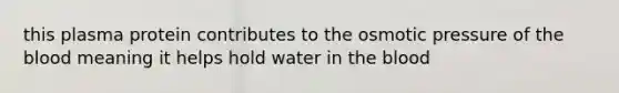 this plasma protein contributes to the osmotic pressure of the blood meaning it helps hold water in the blood