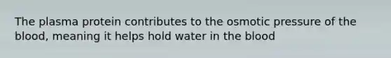 The plasma protein contributes to the osmotic pressure of the blood, meaning it helps hold water in the blood