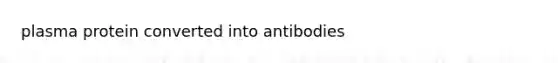 plasma protein converted into antibodies