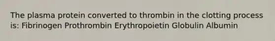 The plasma protein converted to thrombin in the clotting process is: Fibrinogen Prothrombin Erythropoietin Globulin Albumin