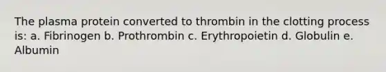 The plasma protein converted to thrombin in the clotting process is: a. Fibrinogen b. Prothrombin c. Erythropoietin d. Globulin e. Albumin