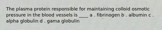 The plasma protein responsible for maintaining colloid osmotic pressure in the blood vessels is ____ a . fibrinogen b . albumin c . alpha globulin d . gama globulin