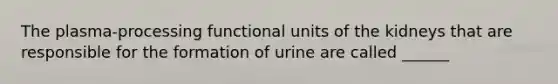 The plasma-processing functional units of the kidneys that are responsible for the formation of urine are called ______