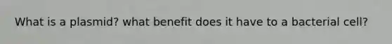 What is a plasmid? what benefit does it have to a bacterial cell?
