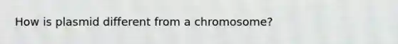 How is plasmid different from a chromosome?