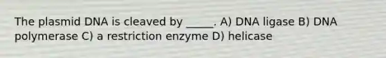 The plasmid DNA is cleaved by _____. A) DNA ligase B) DNA polymerase C) a restriction enzyme D) helicase