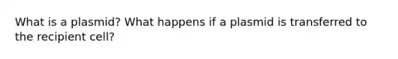 What is a plasmid? What happens if a plasmid is transferred to the recipient cell?