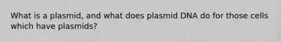 What is a plasmid, and what does plasmid DNA do for those cells which have plasmids?