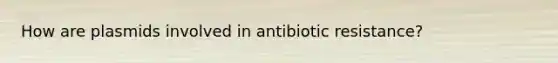 How are plasmids involved in antibiotic resistance?