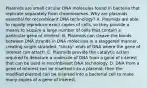 Plasmids are small circular DNA molecules found in bacteria that replicate separately from chromosomes. Why are plasmids essential for recombinant DNA technology? A. Plasmids are able to rapidly reproduce exact copies of cells, so they provide a means to acquire a large number of cells that contain a particular gene of interest. B. Plasmids can cleave the bonds between DNA strands in DNA molecules in a staggered manner, creating single‑stranded, "sticky" ends of DNA where the gene of interest can attach. C. Plasmids provide the catalytic action required to denature a molecule of DNA from a gene of interest that can be used in recombinant DNA technology. D. DNA from a gene of interest can be inserted into a plasmid, then the modified plasmid can be inserted into a bacterial cell to make many copies of a gene of interest.