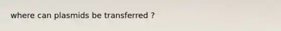 where can plasmids be transferred ?