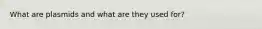 What are plasmids and what are they used for?