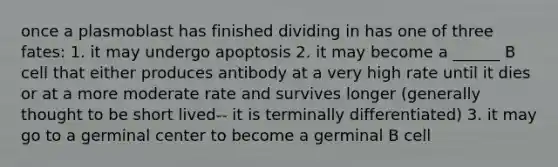 once a plasmoblast has finished dividing in has one of three fates: 1. it may undergo apoptosis 2. it may become a ______ B cell that either produces antibody at a very high rate until it dies or at a more moderate rate and survives longer (generally thought to be short lived-- it is terminally differentiated) 3. it may go to a germinal center to become a germinal B cell