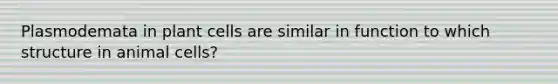 Plasmodemata in plant cells are similar in function to which structure in animal cells?