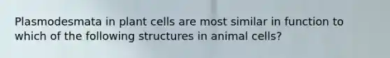 Plasmodesmata in plant cells are most similar in function to which of the following structures in animal cells?